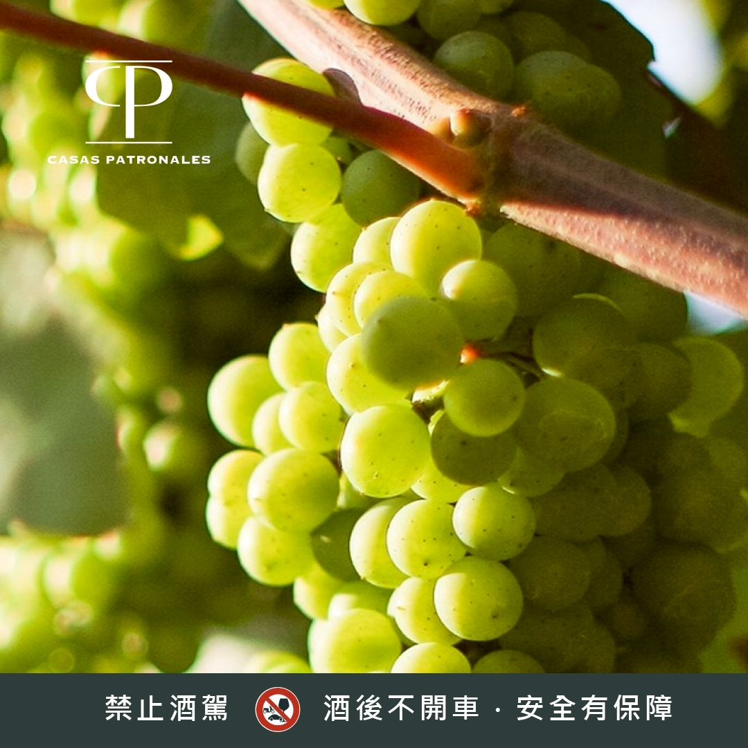【是午後【懋雷山谷的涼風與陽光.南緯35的獨特風味】 - Image 3