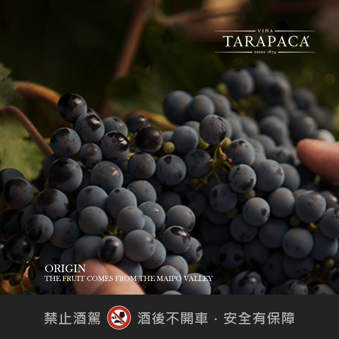 【中秋團圓炙烤.共享經典佳釀】:圖片 4